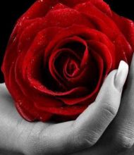 Madame Claude HEATON