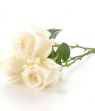 Madame Marie-Rose BLAS née JAGODZINSKI